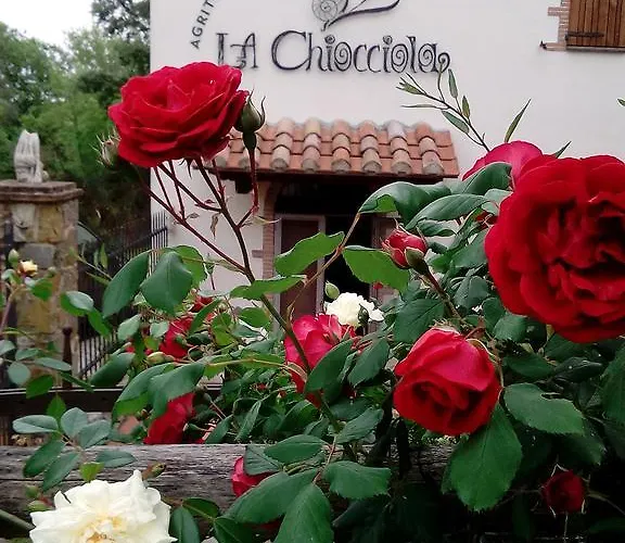 Agriturismo La Chiocciola