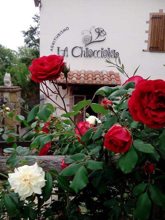 Vakantieboerderij La Chiocciola Poggio Murella